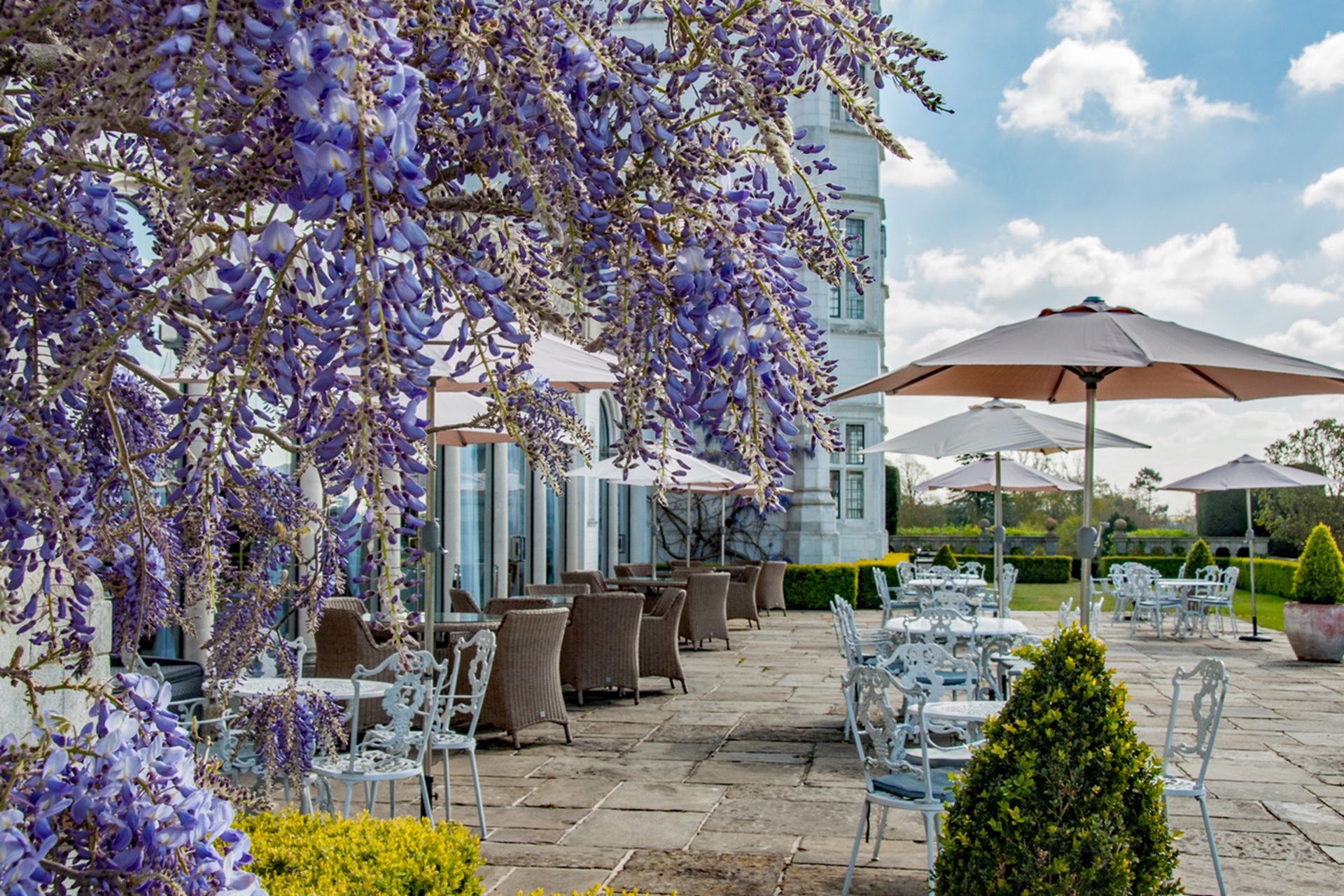 Aft-tea-terrace-2